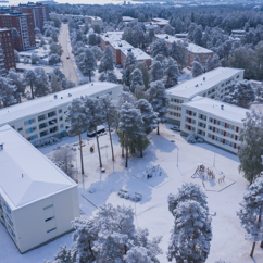 Firefly Bostadsomrpåde Med Snö 752550