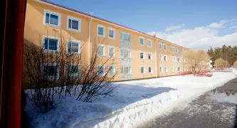 Tunastigen 1-91
