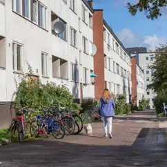 Holmvagen MG 9382
