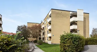 Cellon 6