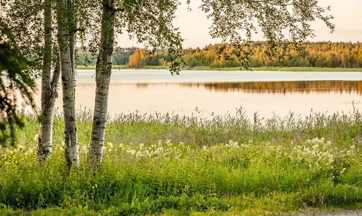 Natur Luleå