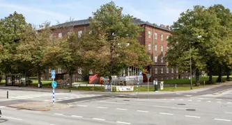 Rönnen 3