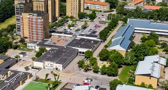 Helsingborg Elineberg (1)